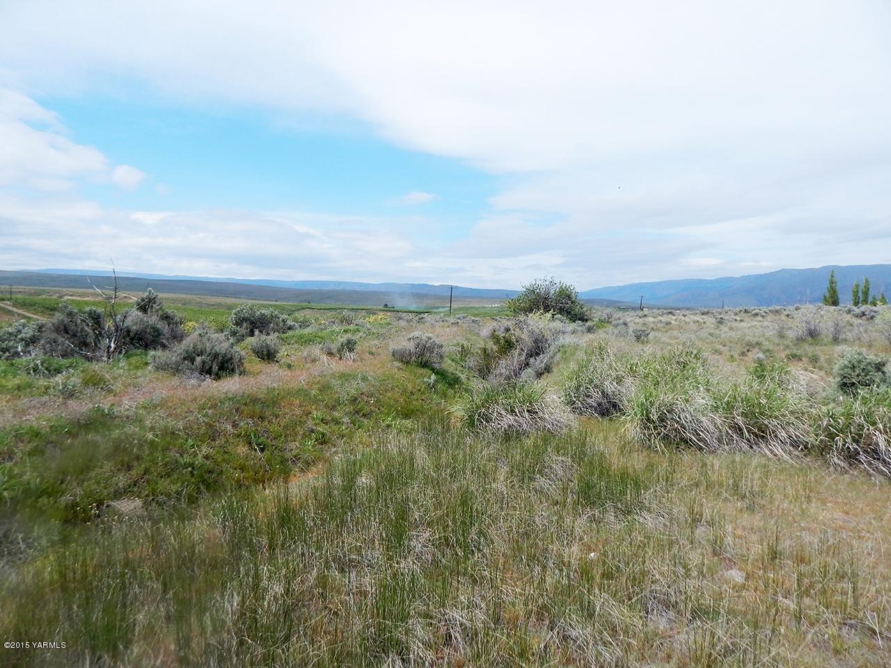 460 Kail Road Tieton, WA 98947 - Photo 5 of 6 a view of a field with trees in background