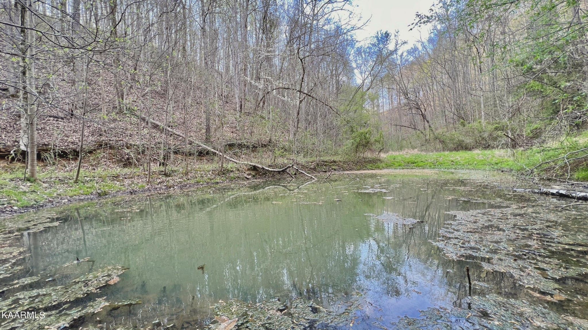 1560 Dripping Springs Road Seymour, TN 37865 - Photo 34 of 46