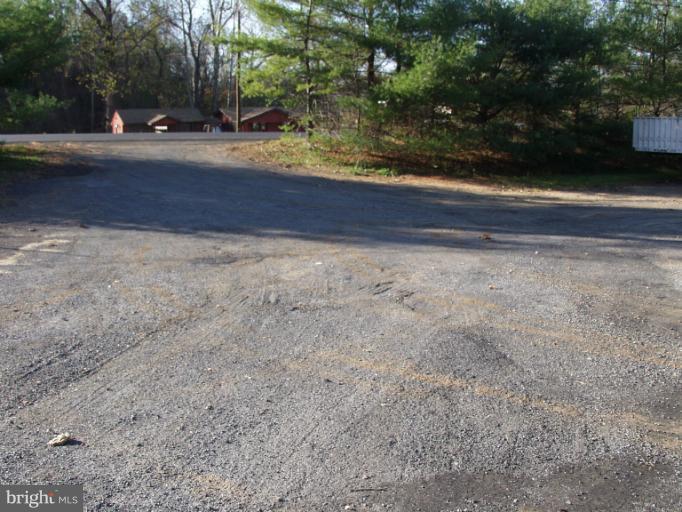 550 Remount Road Front Royal, VA 22630 - Photo 10 of 10 a view of yard with large tree