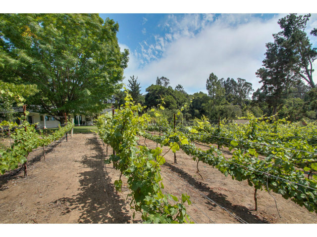 480 Brooktree Ranch Road Aptos, CA 95003 - Photo 13 of 13 Gallery Image 13