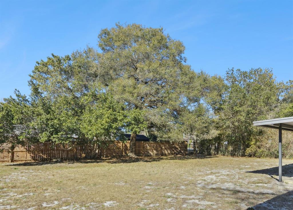 725 3rd Street Orange City, FL 32763 - Photo 14 of 15 a view of yard
