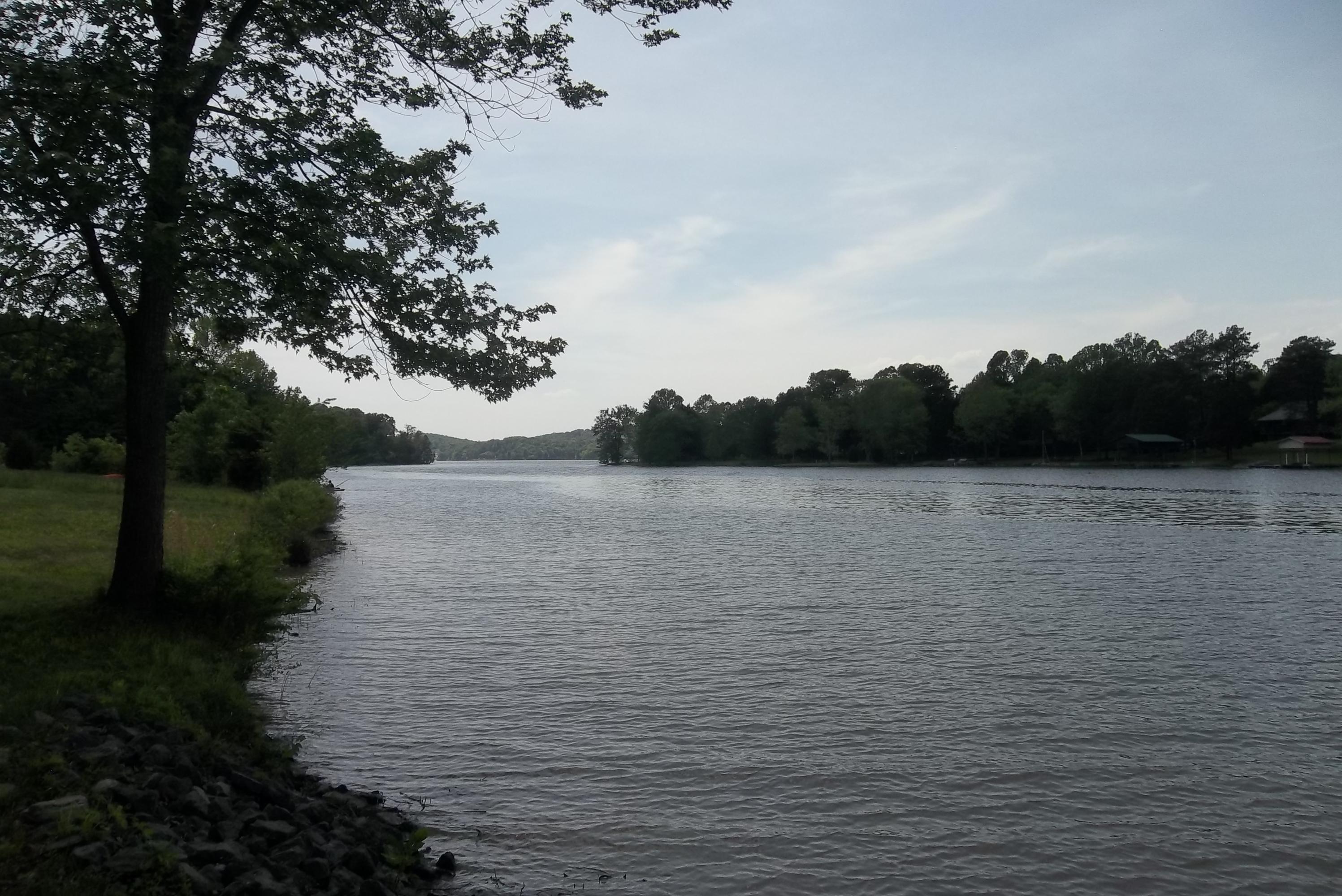 1470 River Road Kingston, TN 37763 - Photo 32 of 32 View from bank of Watts Bar Lake