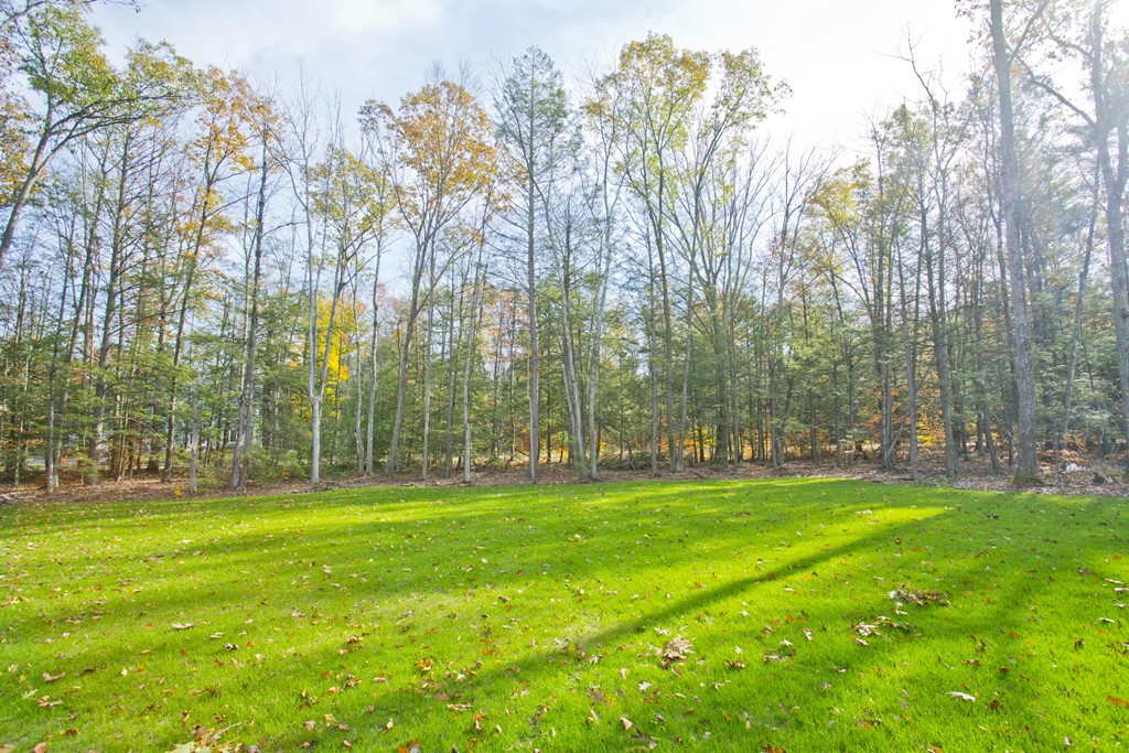 125 A Linden Ridge Road Amherst, MA 01002 - Photo 16 of 21