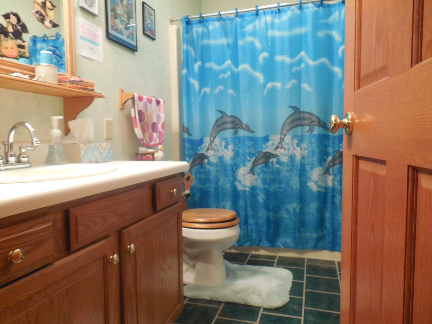 6472 Penrose Road Fulton, IL 61252 - Photo 15 of 21 a bathroom with a sink a toilet and shower curtain