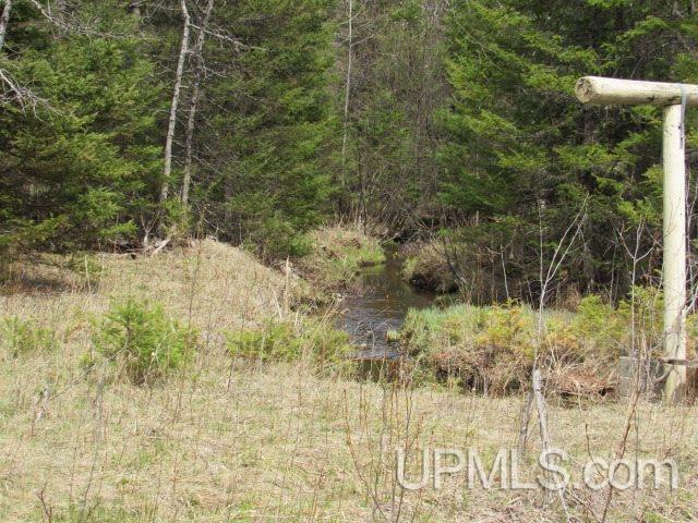 3315 Co Road Cornell, MI 49818 - Photo 22 of 50