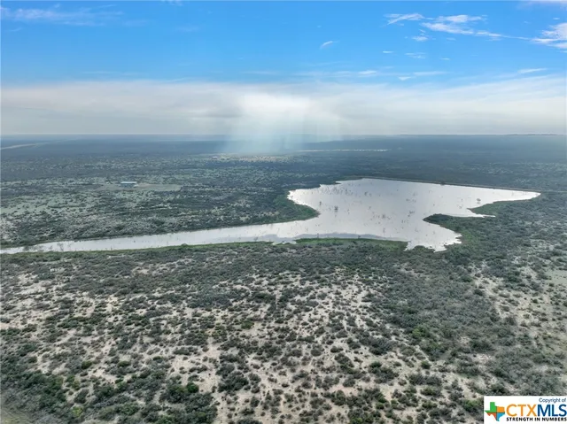 a view of a dry yard