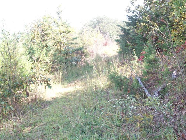 1 Daws Ridge Spur Nancy, KY 42544 - Photo 4 of 5 Additional Photo