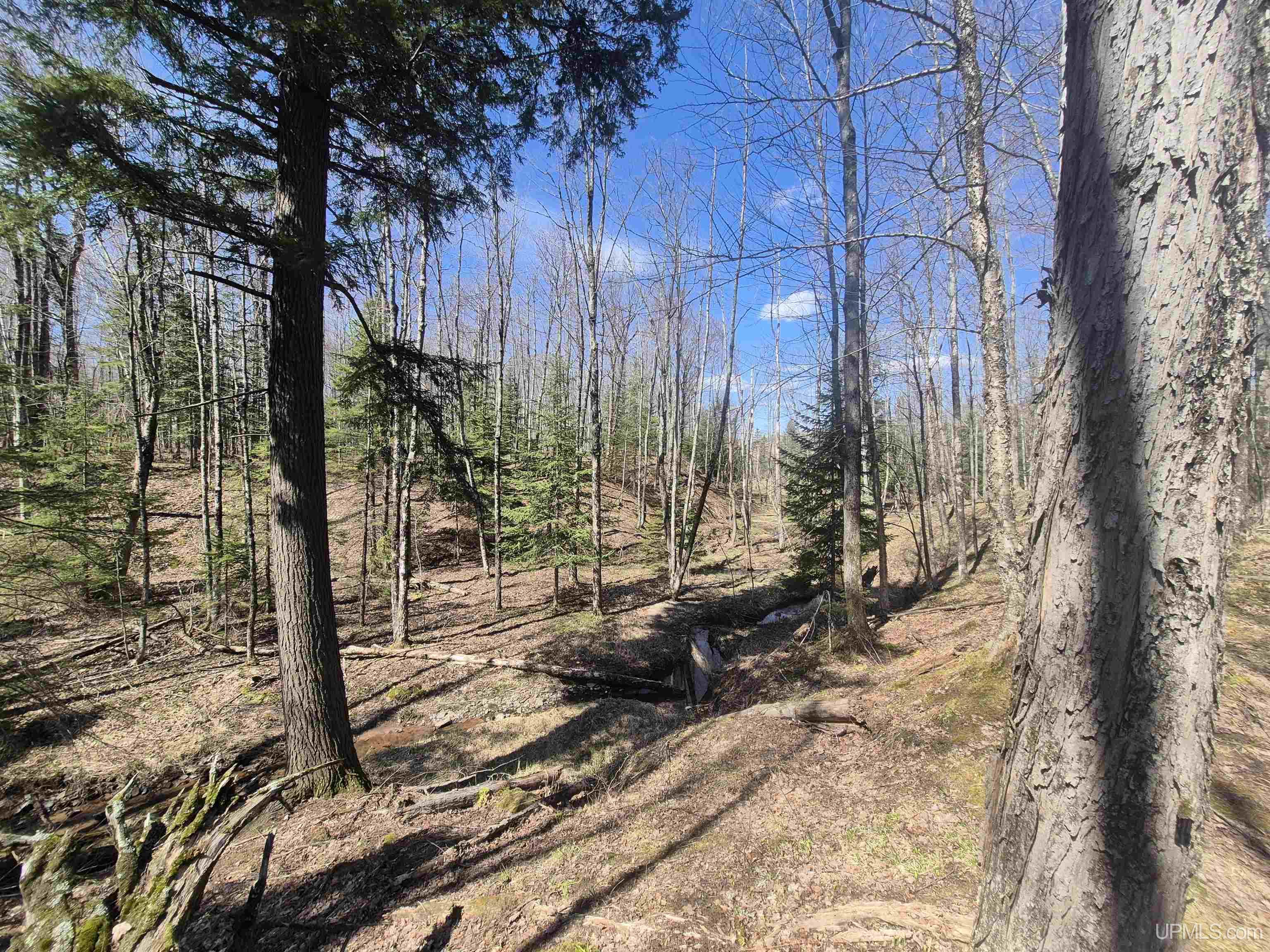 12-acres Salmon Road L'Anse, MI 49946 - Photo 20 of 39