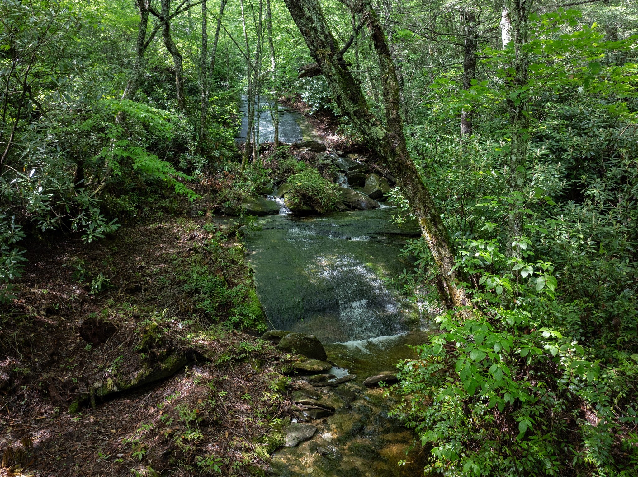 Tbd Tbd Long Ridge Road Lake Toxaway, NC 28747 - Photo 20 of 21 Gallery Image 20
