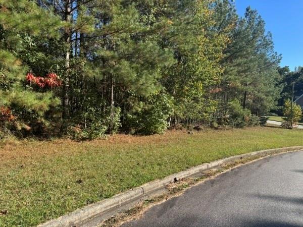 4020 Gold Springs Pass Villa Rica, GA 30180 - Photo 2 of 6 a view of a yard with plants