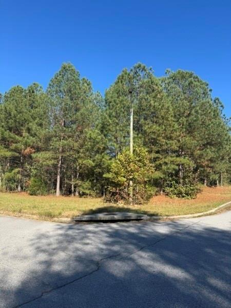 4020 Gold Springs Pass Villa Rica, GA 30180 - Photo 3 of 6 a view of a yard with a fountain