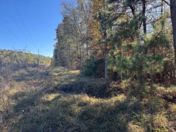 4020 Gold Springs Pass Villa Rica, GA 30180 - Photo 5 of 6 a view of a yard with trees in the background