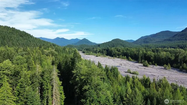 a view of a lush green hillside and a mountain view