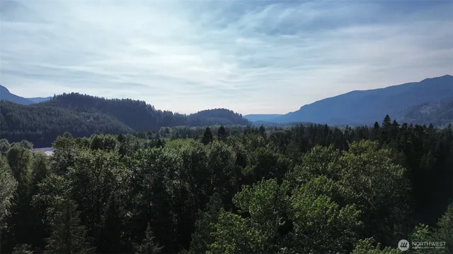 a view of a lush green hillside and a houses