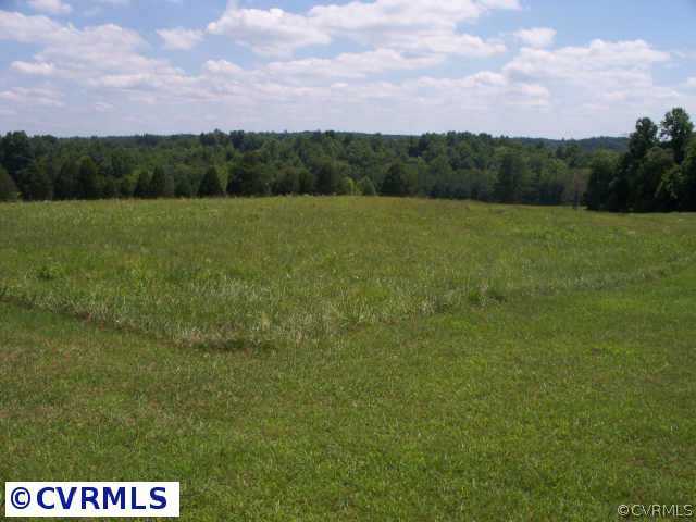151 Wilson Farm Road Keysville, VA 23947 - Photo 4 of 10 a view of a field with a tree in the background