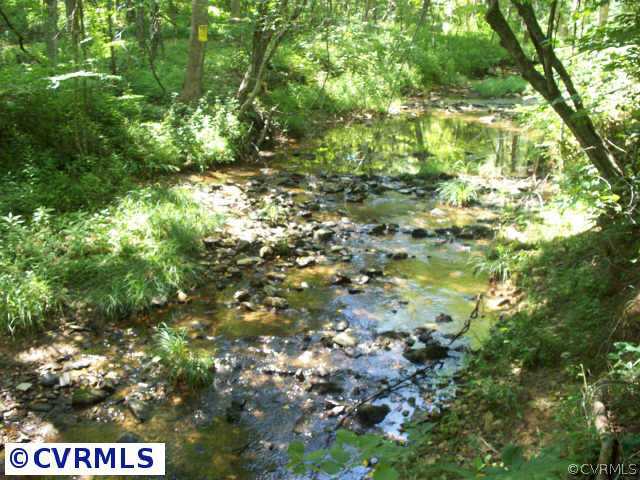 151 Wilson Farm Road Keysville, VA 23947 - Photo 6 of 10 a view of tree