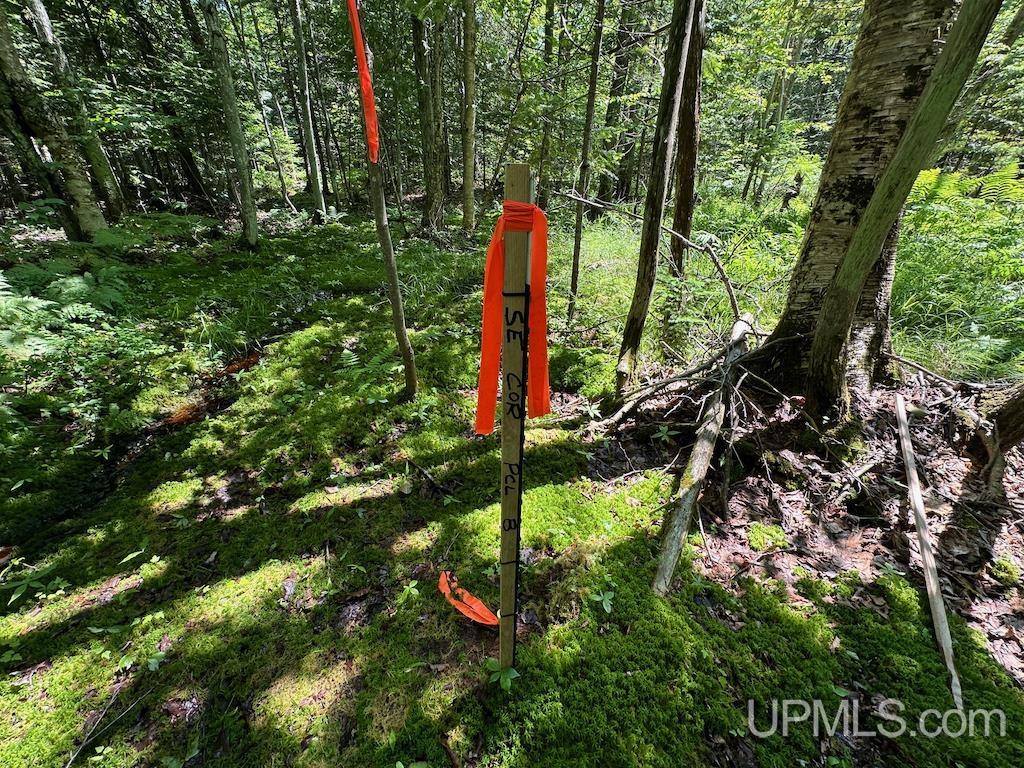 Parcel B Webb Road Grand Marais, MI 49839 - Photo 25 of 28
