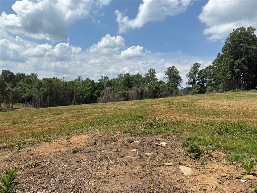 Lot 4 Purcell Road Reidsville, NC 27320 - Photo 11 of 11
