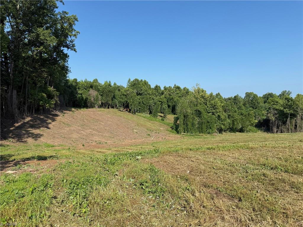 Lot 4 Purcell Road Reidsville, NC 27320 - Photo 2 of 11