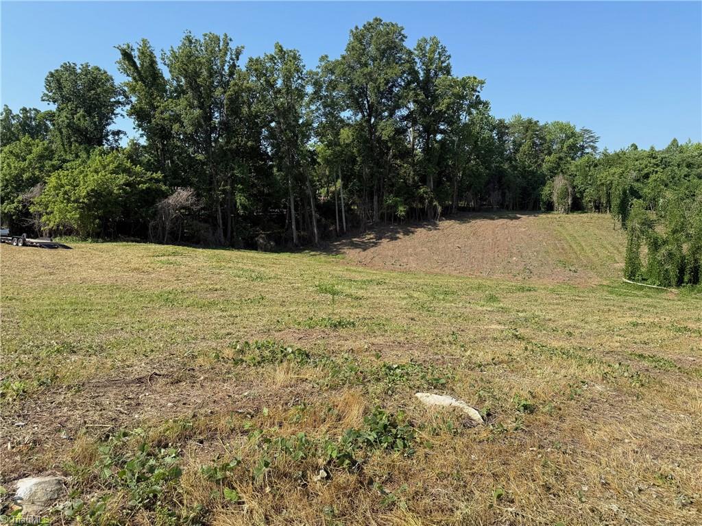 Lot 4 Purcell Road Reidsville, NC 27320 - Photo 4 of 11