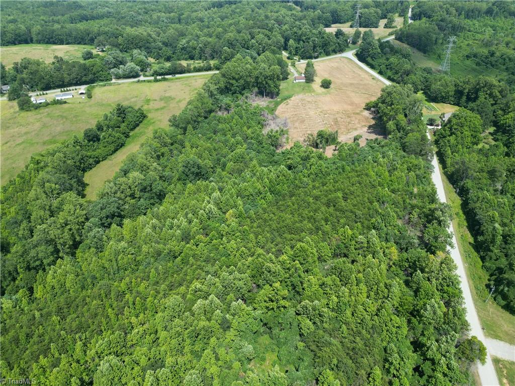 Lot 4 Purcell Road Reidsville, NC 27320 - Photo 6 of 11