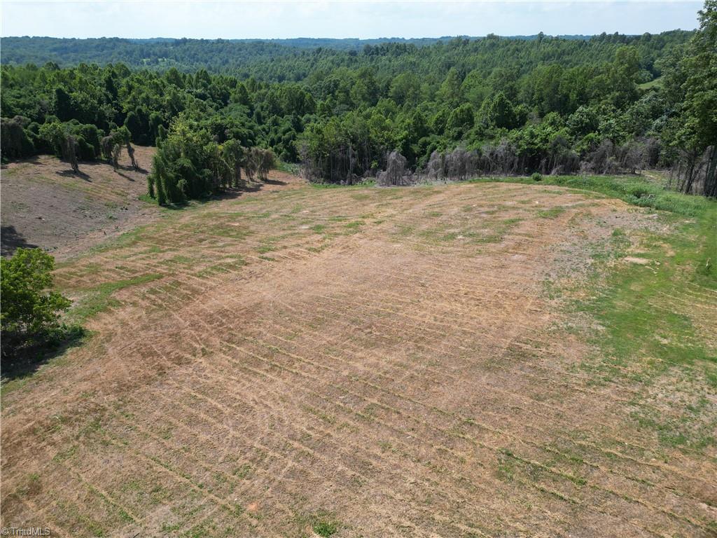 Lot 4 Purcell Road Reidsville, NC 27320 - Photo 8 of 11