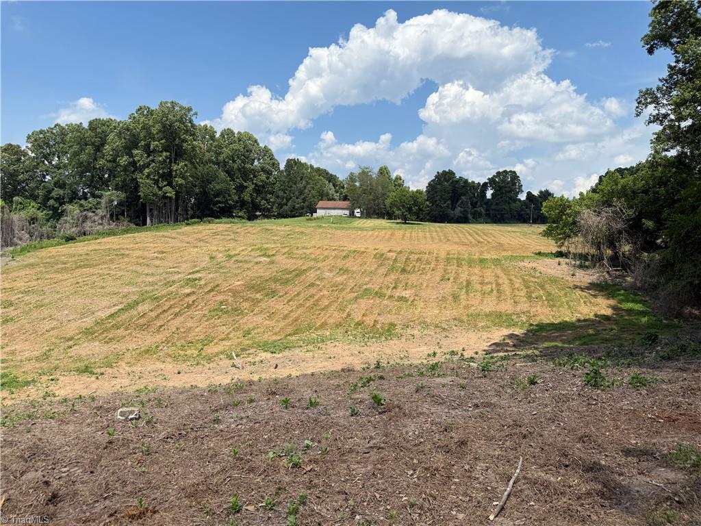 Lot 4 Purcell Road Reidsville, NC 27320 - Photo 9 of 11