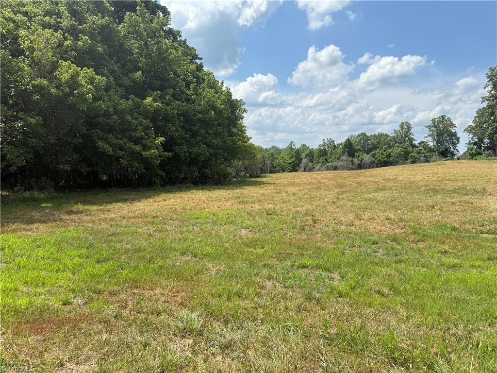 Lot 4 Purcell Road Reidsville, NC 27320 - Photo 10 of 11