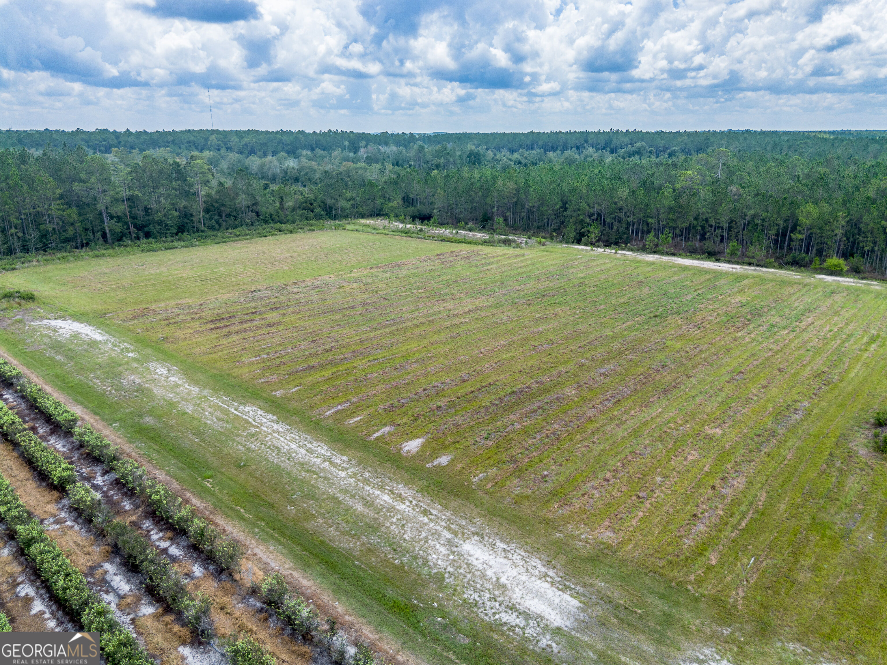 930 Old Surrency Road Baxley, GA 31513 - Photo 21 of 51 Gallery Image 21