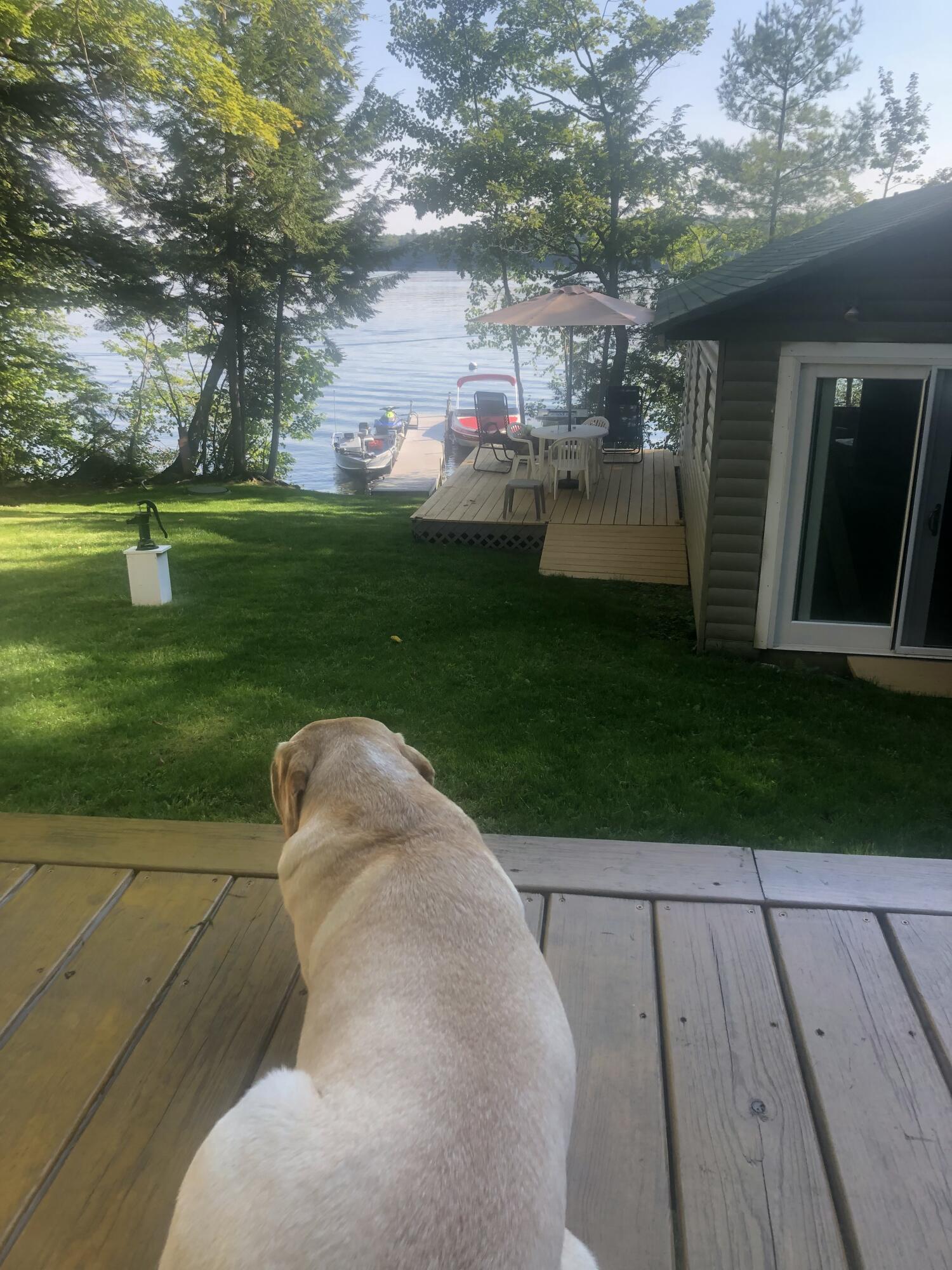 175 Azwelikit Road Casco, ME 04015 - Photo 51 of 55 6839901315