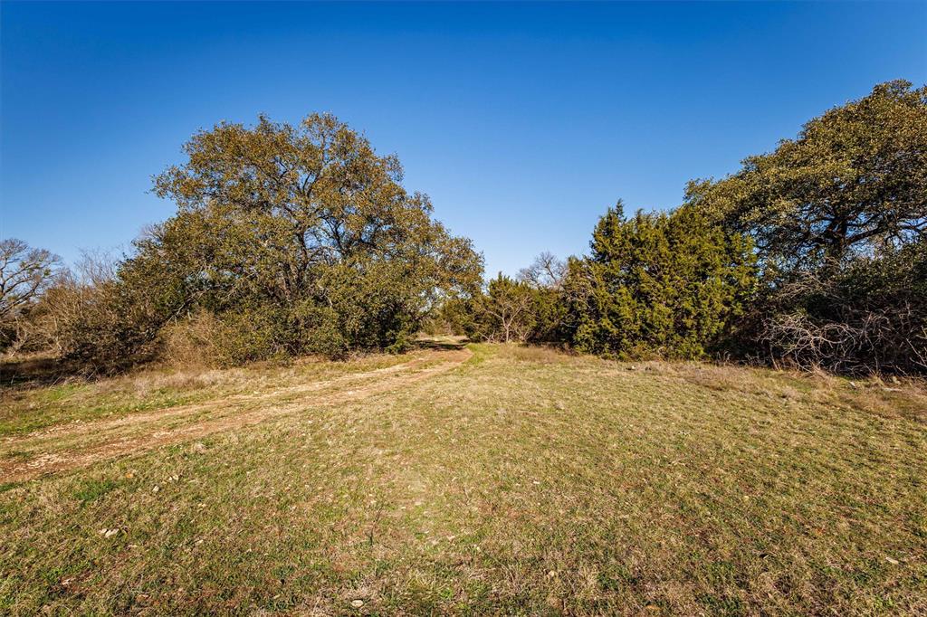 Tbd Straws Mill Road Gatesville, TX 76528 - Photo 22 of 39 a view of a yard with a tree