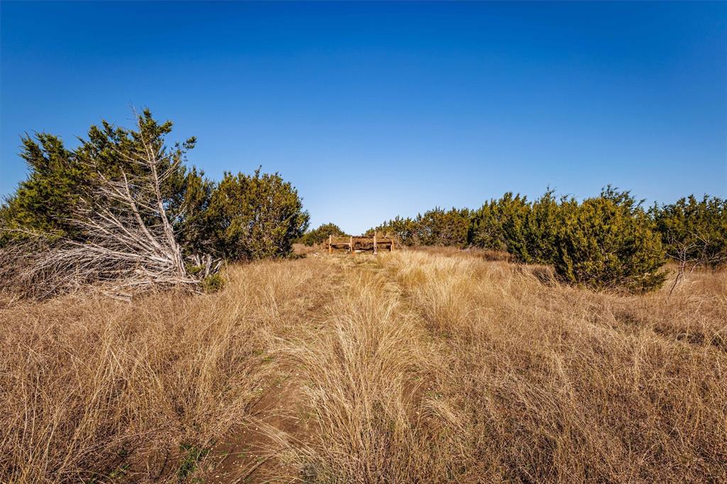 Tbd Straws Mill Road Gatesville, TX 76528 - Photo 26 of 39 a view of a dry yard with wooden fence and trees
