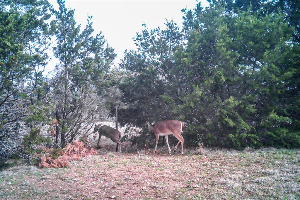 Tbd Straws Mill Road Gatesville, TX 76528 - Photo 36 of 39 a view of backyard with outdoor seating