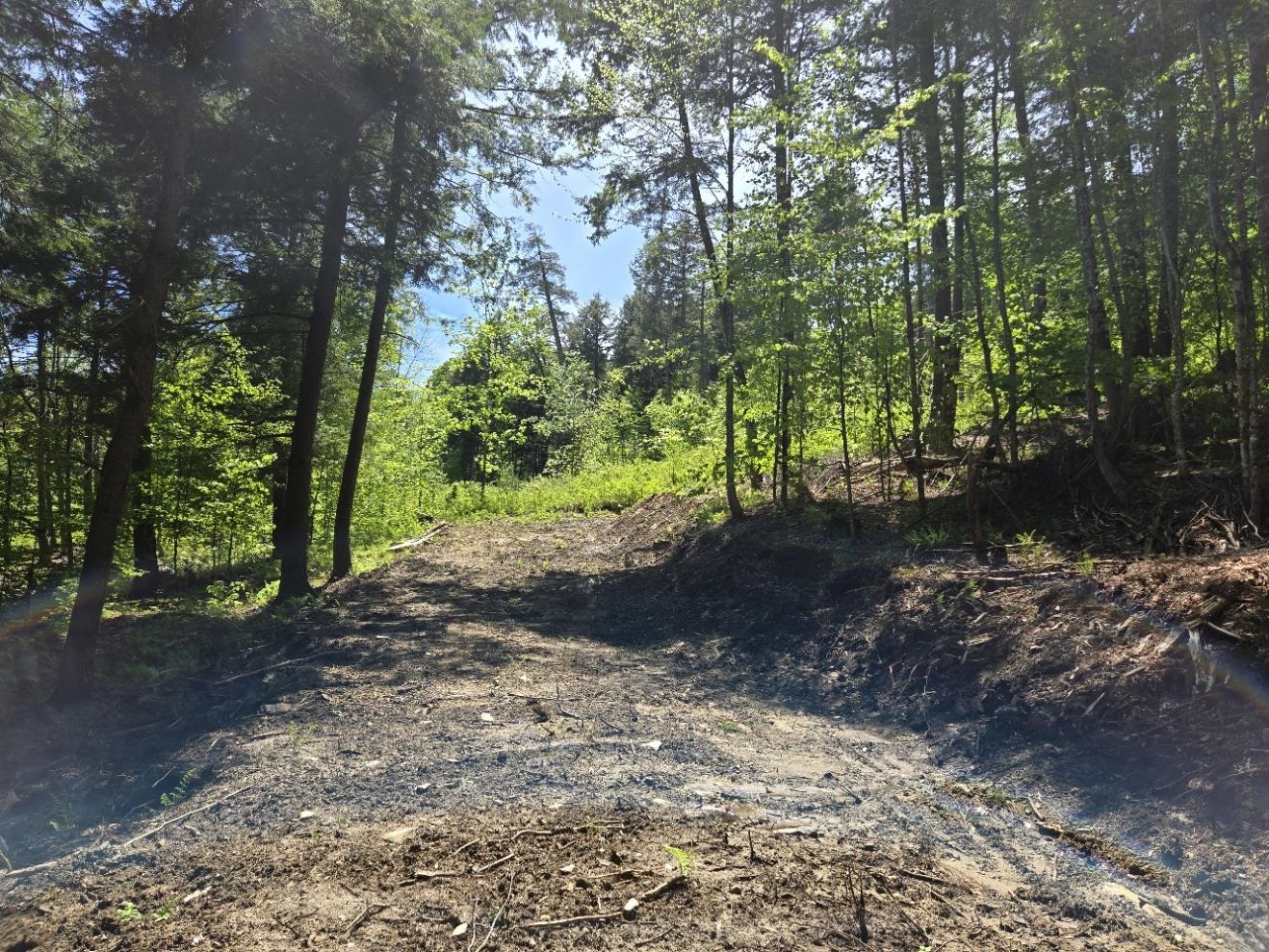 0 Vt Route, Unit LOT 2 Bethel, VT 05032 - Photo 6 of 11