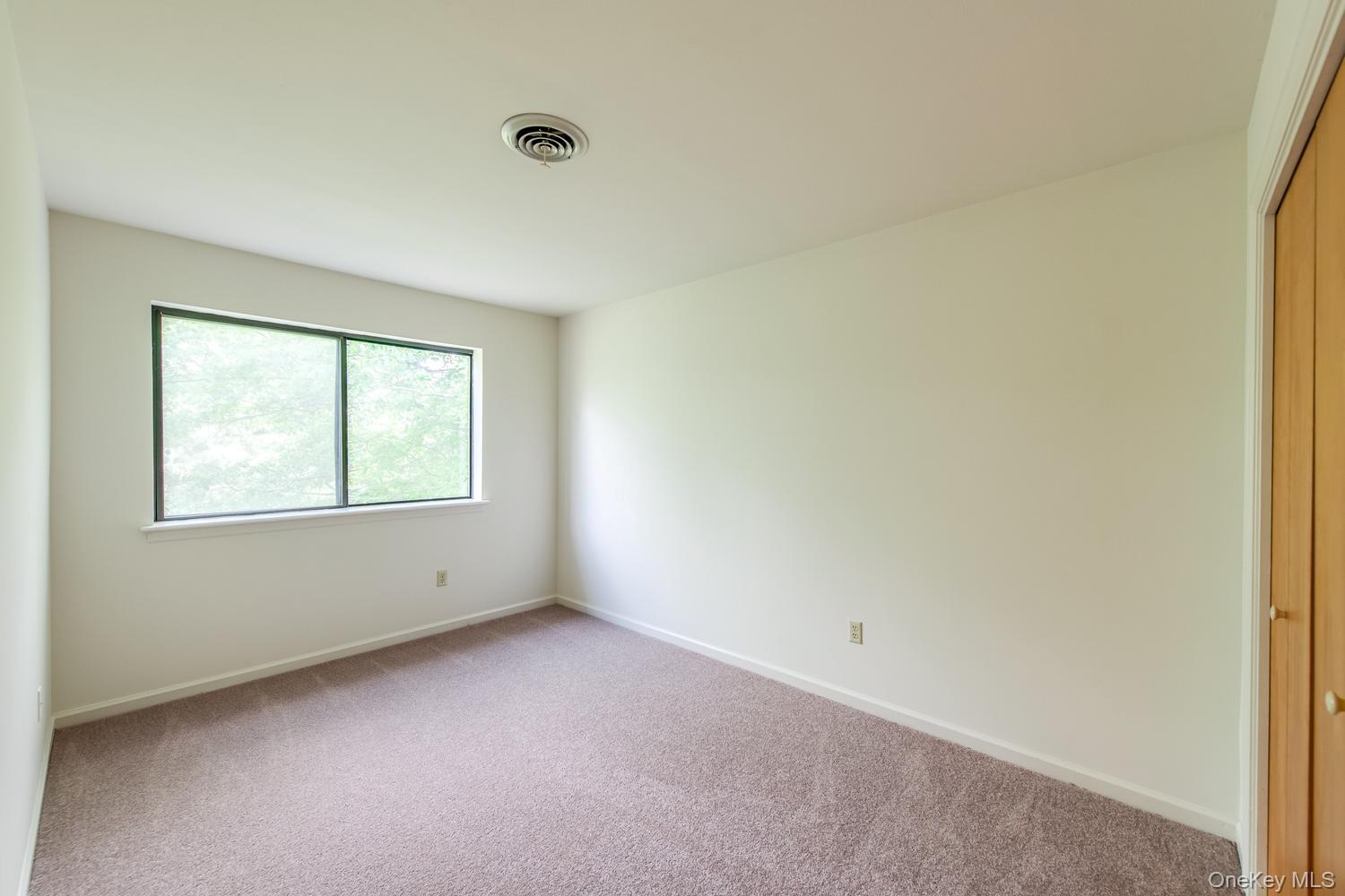 21 Topaz Run Poughkeepsie, NY 12603 - Photo 19 of 26 Large closet