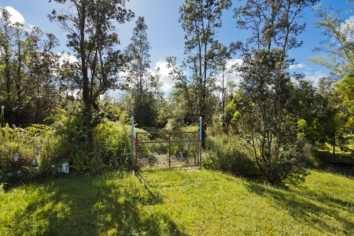 11-3545 Pikake Street Mountain View, HI 96771 - Photo 20 of 30 a view of yard with green space
