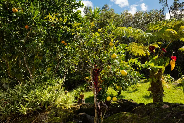 $345,000 | 11-3545 Pikake Street, Unit 1, Mountain View, HI 96771