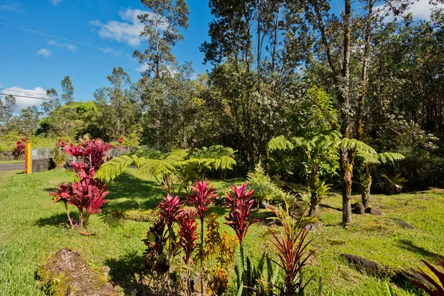 $345,000 | 11-3545 Pikake Street, Unit 1, Mountain View, HI 96771