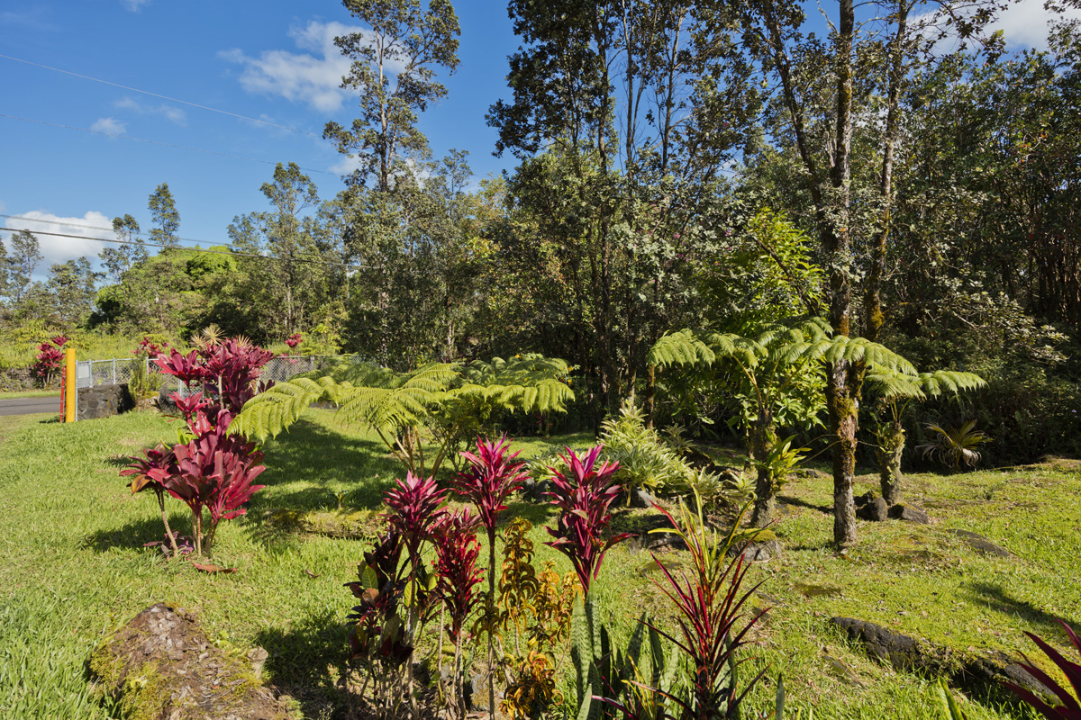 11-3545 Pikake Street Mountain View, HI 96771 - Photo 24 of 30 a view of a flower