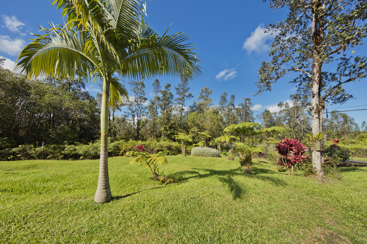 11-3545 Pikake Street Mountain View, HI 96771 - Photo 25 of 30 a view of a garden with a tree