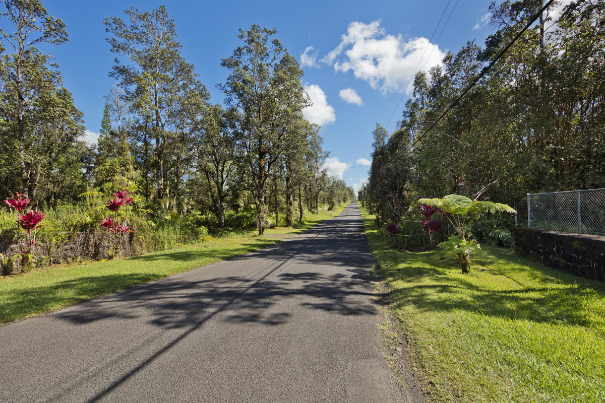11-3545 Pikake Street Mountain View, HI 96771 - Photo 28 of 30 a view of a backyard with plants and trees