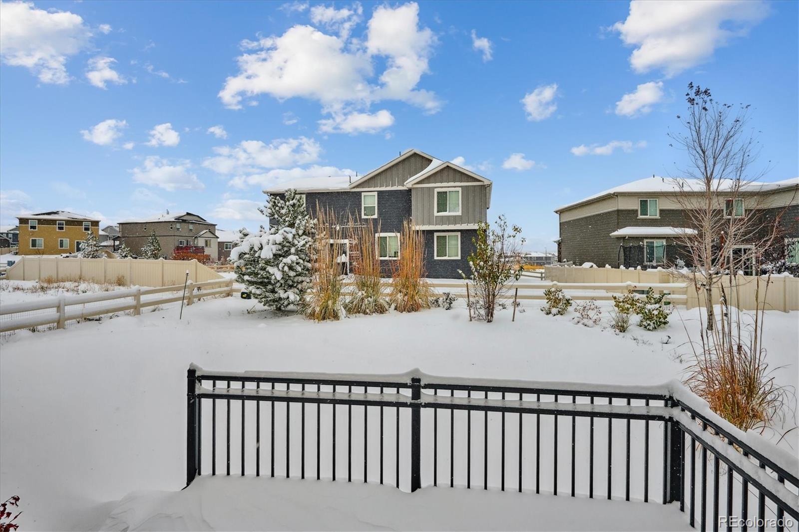 12841 Red Rosa Circle Parker, CO 80134 - Photo 23 of 29 a view of a house with a yard
