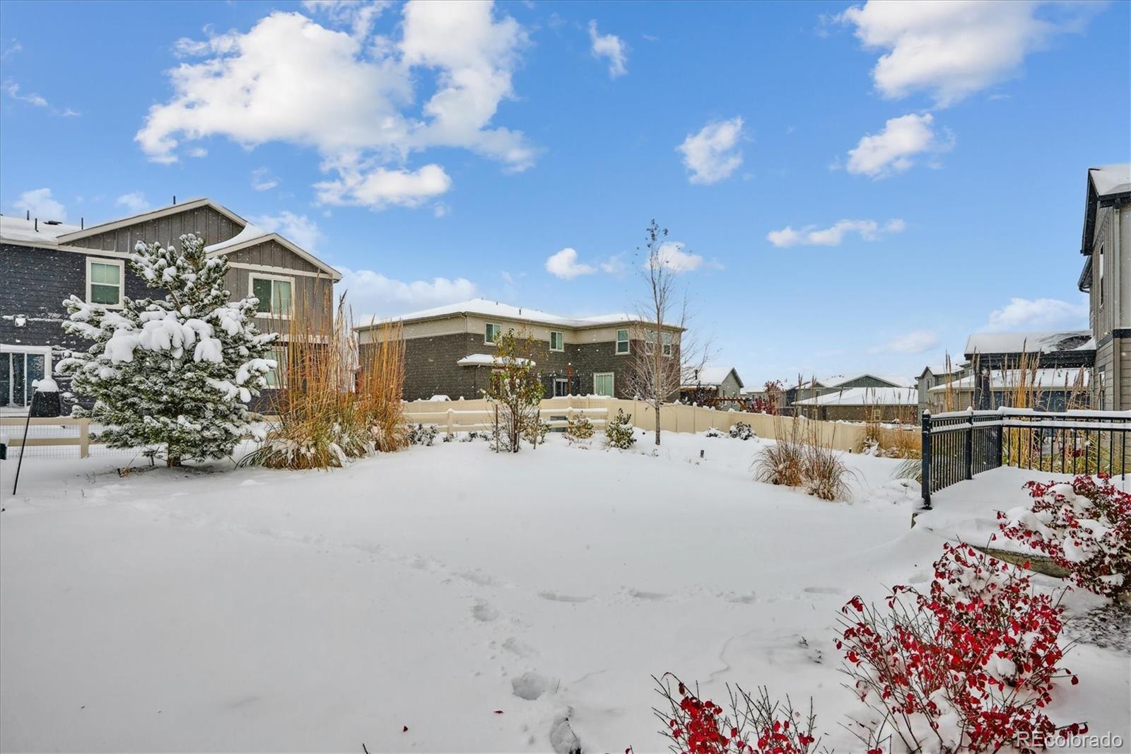 12841 Red Rosa Circle Parker, CO 80134 - Photo 25 of 29 a view of a lake with palm trees