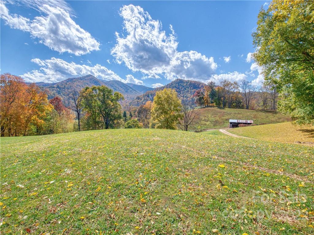 0 Old Michael Road Canton, NC 28716 - Photo 15 of 21 a view of an outdoor space and yard