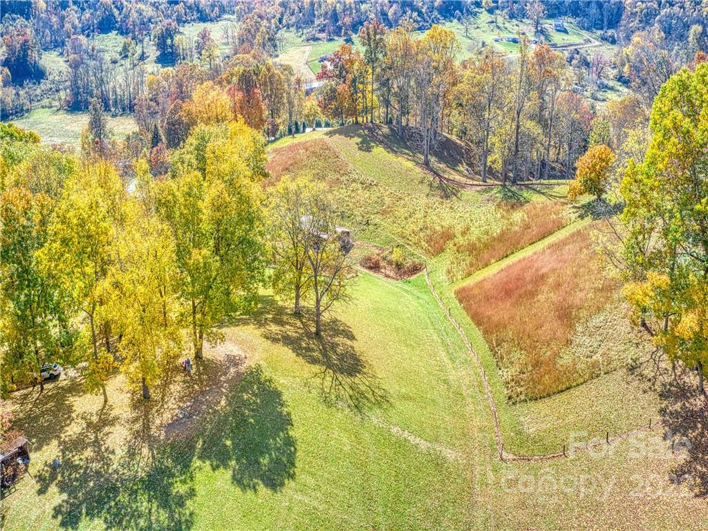 0 Old Michael Road Canton, NC 28716 - Photo 4 of 21