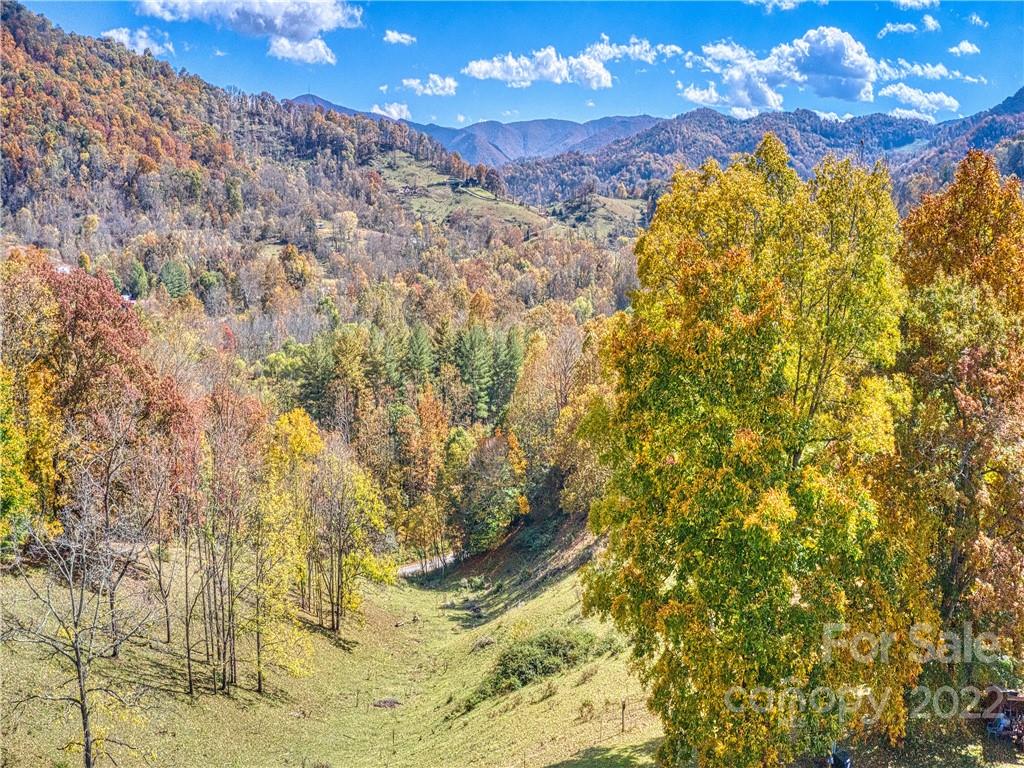0 Old Michael Road Canton, NC 28716 - Photo 5 of 21