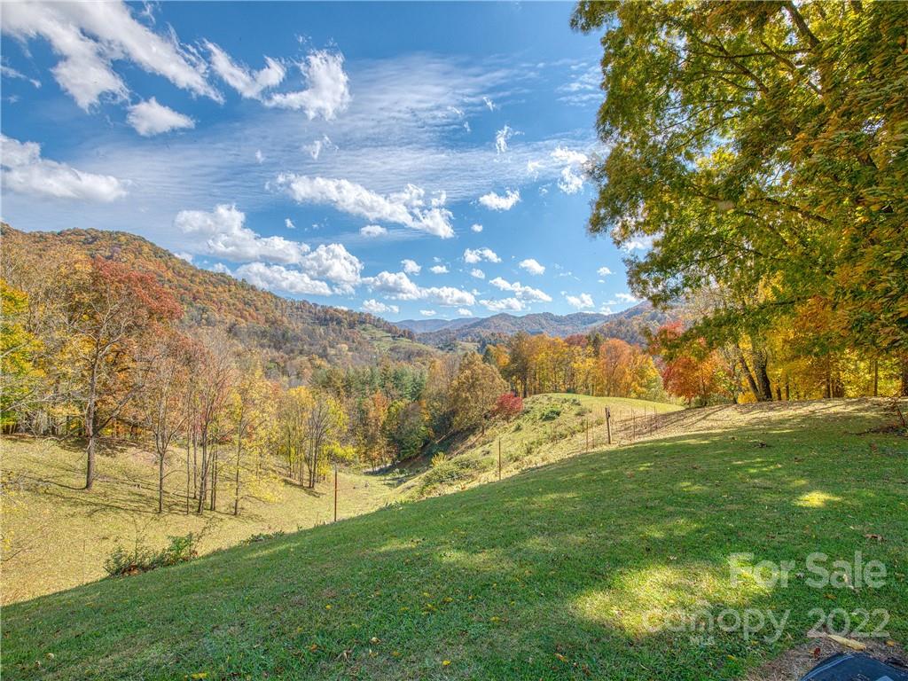 0 Old Michael Road Canton, NC 28716 - Photo 6 of 21 a view of yard with large trees