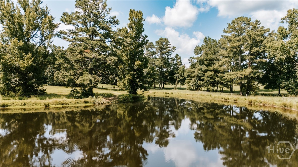 6 Burt Road Carlton, GA 30627 - Photo 48 of 58 Gallery Image 48