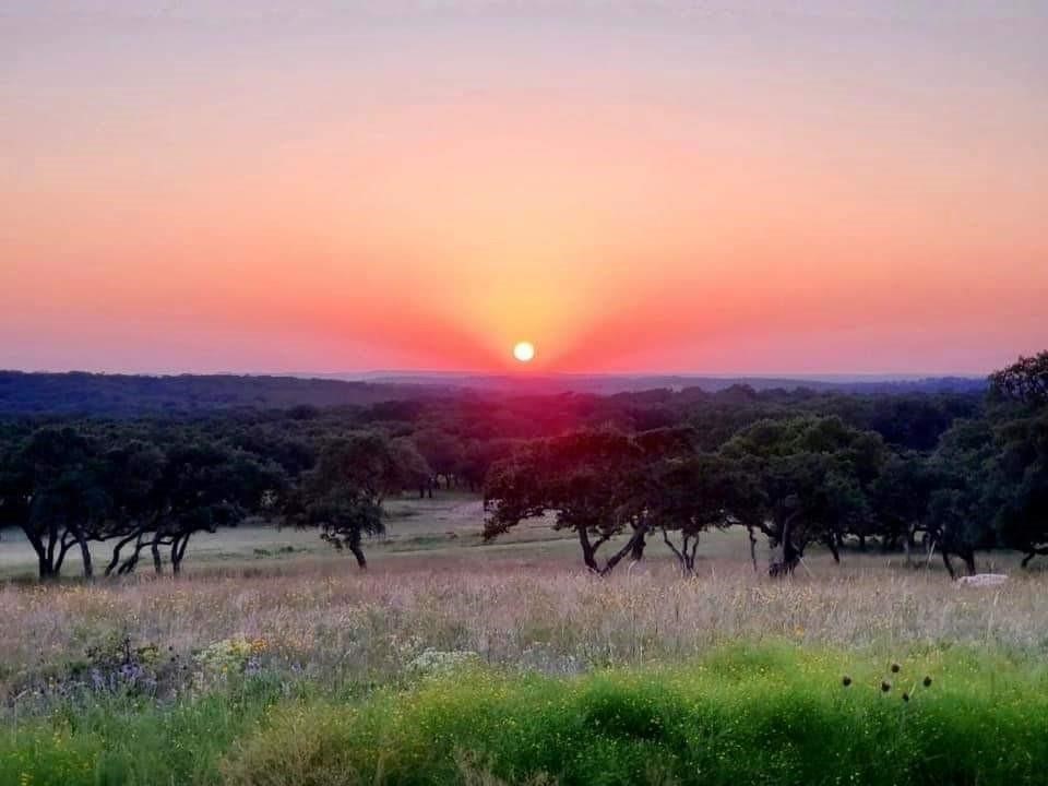 187 Blackbuck Ridge Drive Lampasas, TX 76550 - Photo 1 of 1