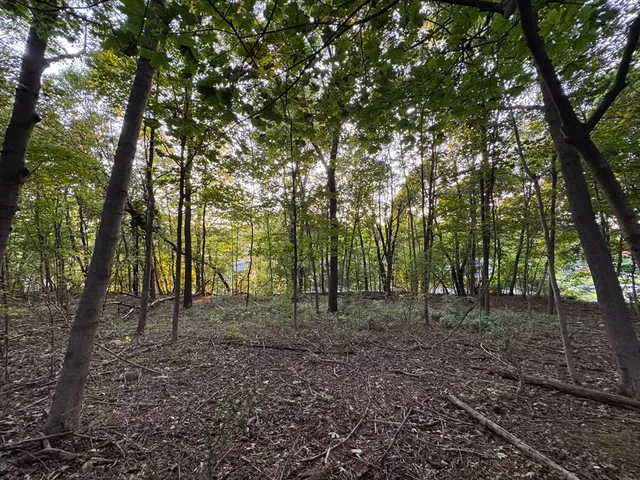 a view of outdoor space with trees